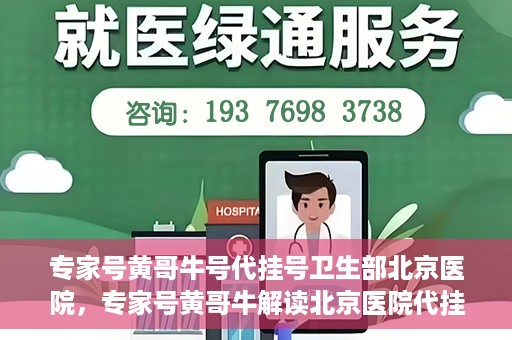 专家号黄哥牛号代挂号卫生部北京医院，专家号黄哥牛解读北京医院代挂号新政，卫生部权威解读与深度剖析