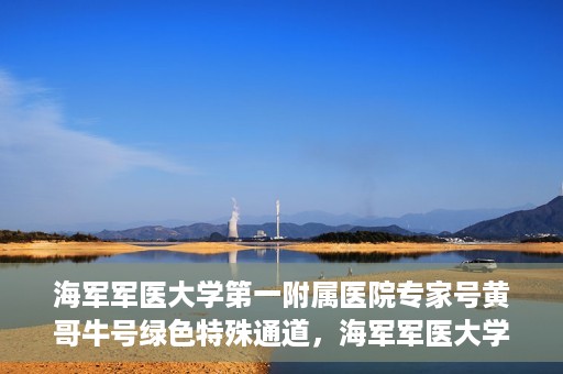 海军军医大学第一附属医院专家号黄哥牛号绿色特殊通道，海军军医大学第一附属医院专家号黄哥牛号，绿色特殊通道揭秘