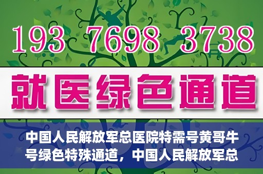 中国人民解放军总医院特需号黄哥牛号绿色特殊通道，中国人民解放军总医院特需号黄哥牛号，绿色通道的温暖守护