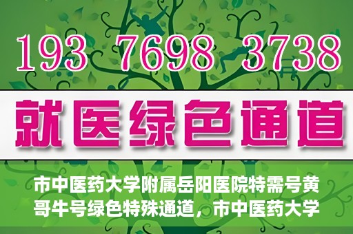 市中医药大学附属岳阳医院特需号黄哥牛号绿色特殊通道，市中医药大学附属岳阳医院黄哥牛号特需绿色就医通道揭秘