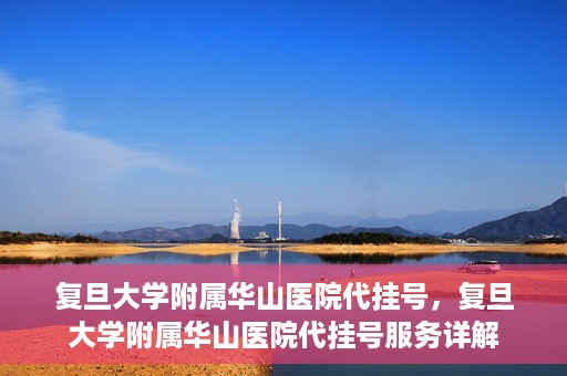 复旦大学附属华山医院代挂号，复旦大学附属华山医院代挂号服务详解