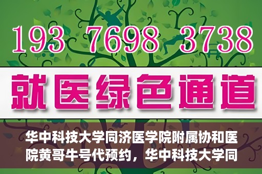 华中科技大学同济医学院附属协和医院黄哥牛号代预约，华中科技大学同济医学院附属协和医院预约服务揭秘，黄哥牛号代预约解析