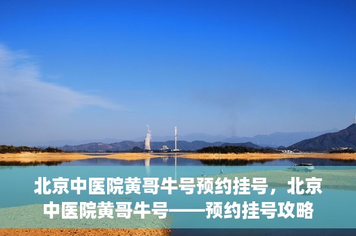 北京中医院黄哥牛号预约挂号，北京中医院黄哥牛号——预约挂号攻略