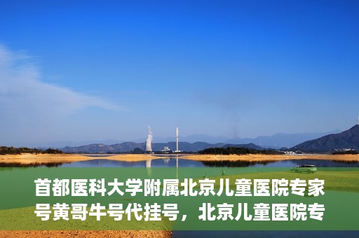首都医科大学附属北京儿童医院专家号黄哥牛号代挂号，北京儿童医院专家黄哥牛号代挂号解析，专业医疗服务的深度解读