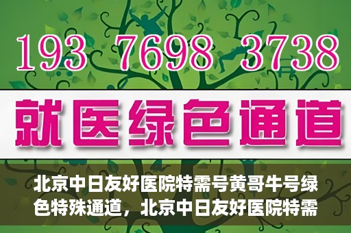 北京中日友好医院特需号黄哥牛号绿色特殊通道，北京中日友好医院特需号黄哥牛号，绿色就医特殊通道揭秘