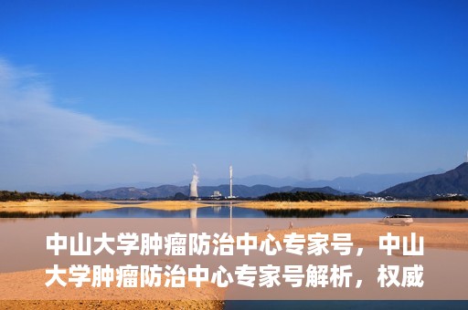 中山大学肿瘤防治中心专家号，中山大学肿瘤防治中心专家号解析，权威解读与前沿治疗技术探讨