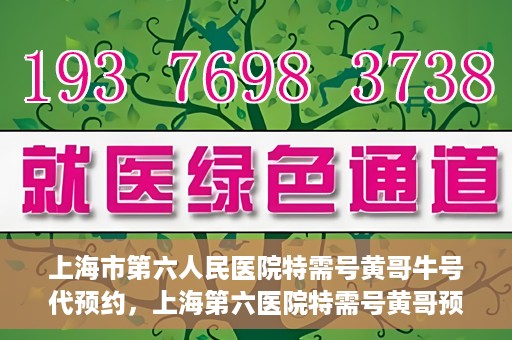 上海市第六人民医院特需号黄哥牛号代预约，上海第六医院特需号黄哥预约服务解析，专业代预约，便捷就医新选择