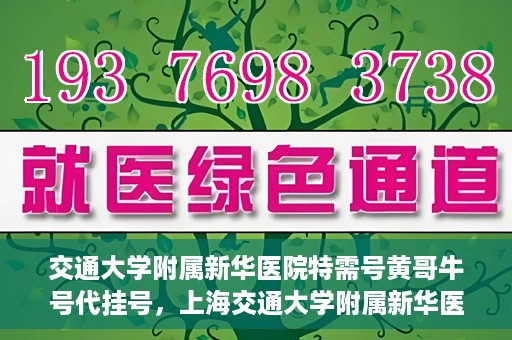 交通大学附属新华医院特需号黄哥牛号代挂号，上海交通大学附属新华医院特需号代挂号服务解析——黄哥牛号代挂号攻略