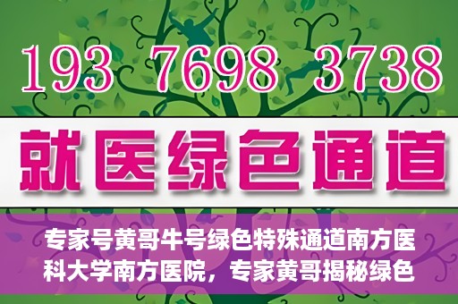 专家号黄哥牛号绿色特殊通道南方医科大学南方医院，专家黄哥揭秘绿色特殊通道，南方医科大学南方医院的深度探索