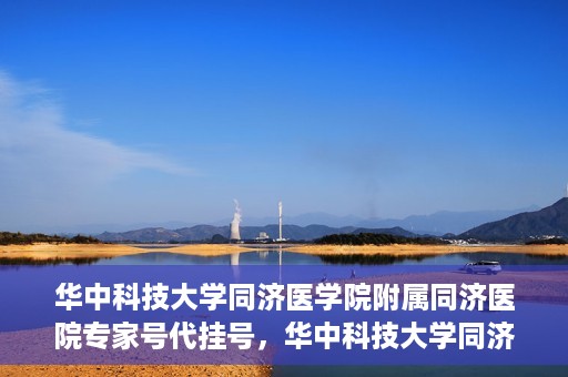 华中科技大学同济医学院附属同济医院专家号代挂号，华中科技大学同济医院专家号代挂号服务解析