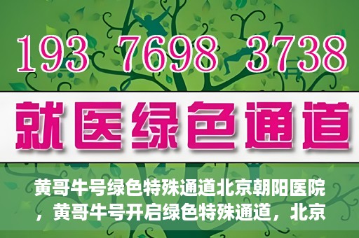 黄哥牛号绿色特殊通道北京朝阳医院，黄哥牛号开启绿色特殊通道，北京朝阳医院助力健康之路