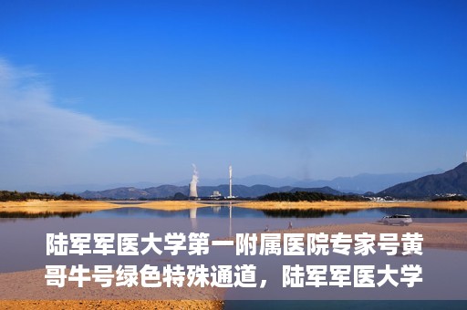 陆军军医大学第一附属医院专家号黄哥牛号绿色特殊通道，陆军军医大学第一附属医院专家号黄哥牛号，绿色特殊通道揭秘