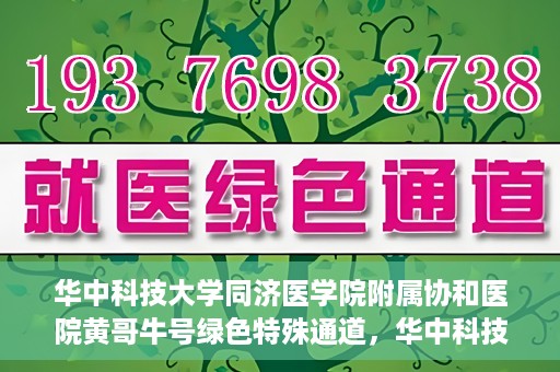 华中科技大学同济医学院附属协和医院黄哥牛号绿色特殊通道，华中科技大学同济医学院附属协和医院黄哥牛号绿色就医特殊通道揭秘
