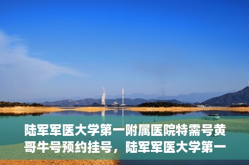 陆军军医大学第一附属医院特需号黄哥牛号预约挂号，陆军军医大学第一附属医院特需号预约挂号攻略，黄哥牛号助你轻松就医