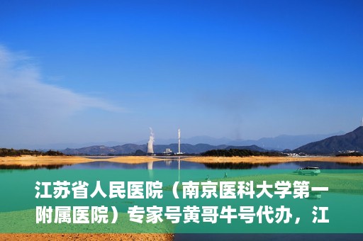 江苏省人民医院（南京医科大学第一附属医院）专家号黄哥牛号代办，江苏省人民医院专家号代办揭秘，黄哥牛号助您预约专家就医服务