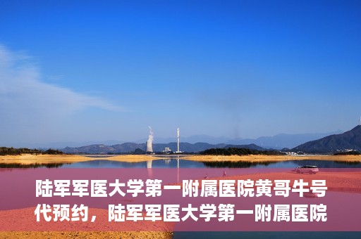 陆军军医大学第一附属医院黄哥牛号代预约，陆军军医大学第一附属医院预约系统升级，黄哥牛号预约服务上线