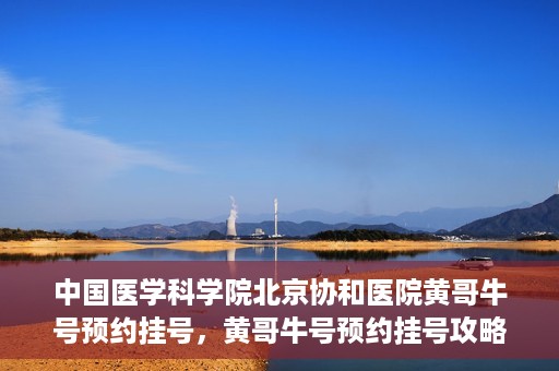 中国医学科学院北京协和医院黄哥牛号预约挂号，黄哥牛号预约挂号攻略，中国医学科学院北京协和医院就医指南