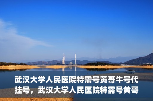 武汉大学人民医院特需号黄哥牛号代挂号，武汉大学人民医院特需号黄哥牛号代挂号背后的故事与真相揭秘