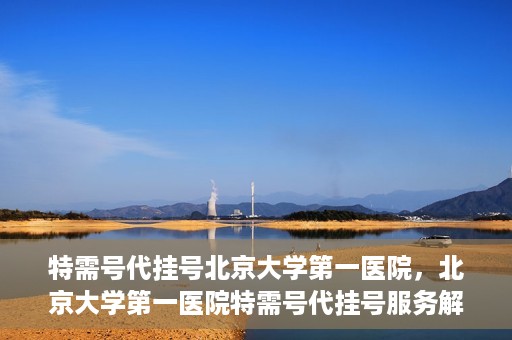 特需号代挂号北京大学第一医院，北京大学第一医院特需号代挂号服务解析