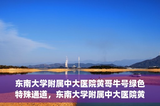 东南大学附属中大医院黄哥牛号绿色特殊通道，东南大学附属中大医院黄哥牛号，绿色特殊通道开启生命之门