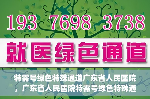 特需号绿色特殊通道广东省人民医院，广东省人民医院特需号绿色特殊通道服务解析