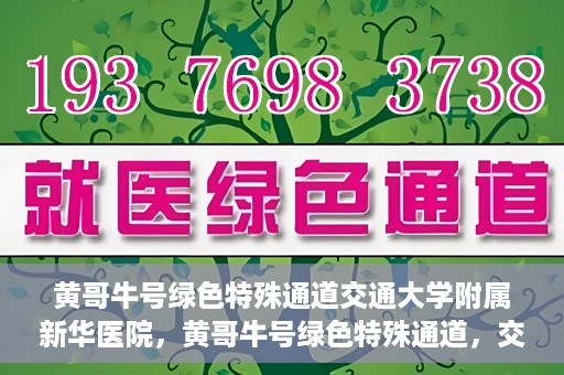黄哥牛号绿色特殊通道交通大学附属新华医院，黄哥牛号绿色特殊通道，交通大学附属新华医院的探索与实践