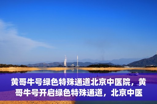 黄哥牛号绿色特殊通道北京中医院，黄哥牛号开启绿色特殊通道，北京中医院助力健康中国行