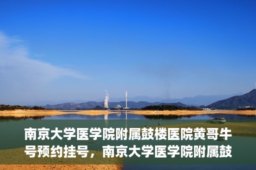 南京大学医学院附属鼓楼医院黄哥牛号预约挂号，南京大学医学院附属鼓楼医院黄哥牛号预约挂号攻略解析