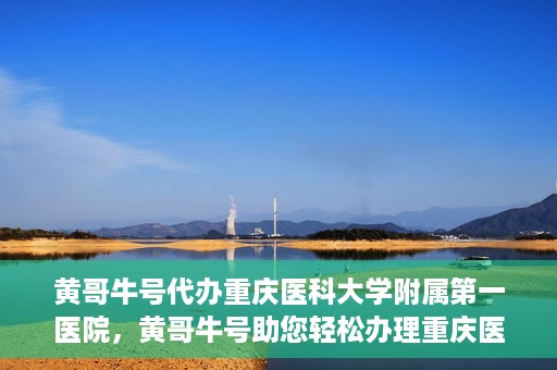 黄哥牛号代办重庆医科大学附属第一医院，黄哥牛号助您轻松办理重庆医科大学附属第一医院事务。