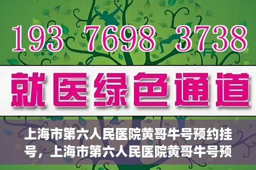 上海市第六人民医院黄哥牛号预约挂号，上海市第六人民医院黄哥牛号预约挂号攻略，轻松挂号，便捷就医体验