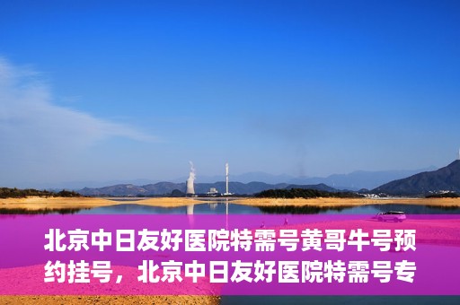 北京中日友好医院特需号黄哥牛号预约挂号，北京中日友好医院特需号专家黄哥牛号预约挂号攻略