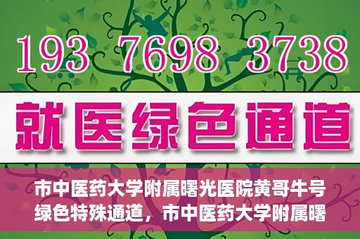 市中医药大学附属曙光医院黄哥牛号绿色特殊通道，市中医药大学附属曙光医院黄哥牛号，绿色特殊通道开启健康之门