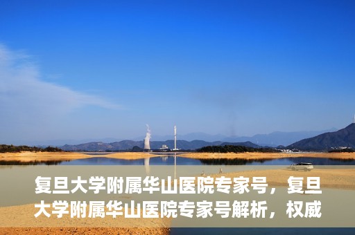 复旦大学附属华山医院专家号，复旦大学附属华山医院专家号解析，权威医疗团队与精准诊疗服务