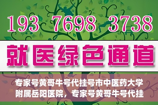专家号黄哥牛号代挂号市中医药大学附属岳阳医院，专家号黄哥牛号代挂号服务在岳阳医院，深度解读与预约指南