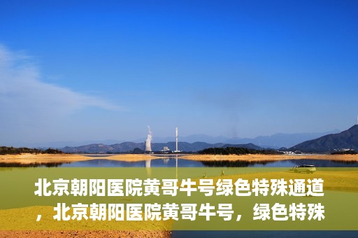 北京朝阳医院黄哥牛号绿色特殊通道，北京朝阳医院黄哥牛号，绿色特殊通道开启健康之门