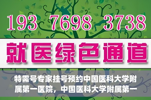 特需号专家挂号预约中国医科大学附属第一医院，中国医科大学附属第一医院特需专家挂号预约指南