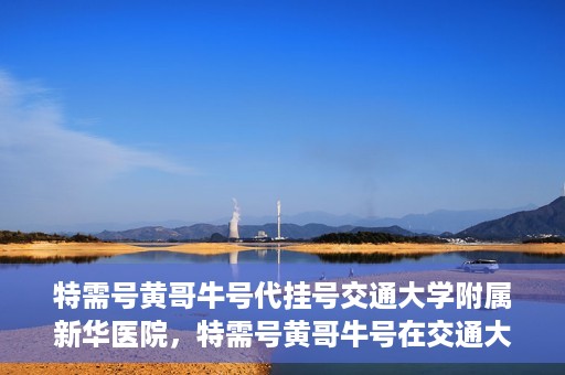 特需号黄哥牛号代挂号交通大学附属新华医院，特需号黄哥牛号在交通大学附属新华医院的代挂号服务解析