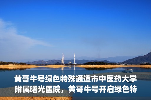 黄哥牛号绿色特殊通道市中医药大学附属曙光医院，黄哥牛号开启绿色特殊通道，市中医药大学附属曙光医院倾力打造健康新篇章