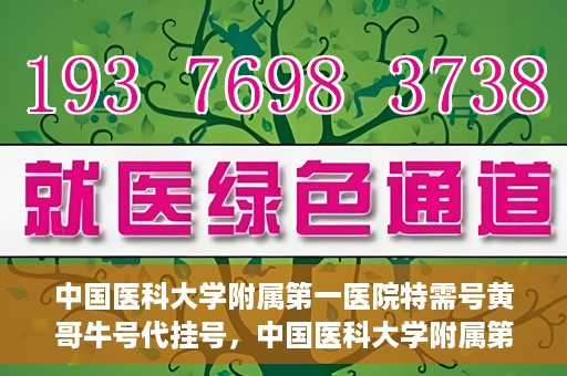 中国医科大学附属第一医院特需号黄哥牛号代挂号，中国医科大学附属第一医院特需号黄哥牛号代挂号服务解析