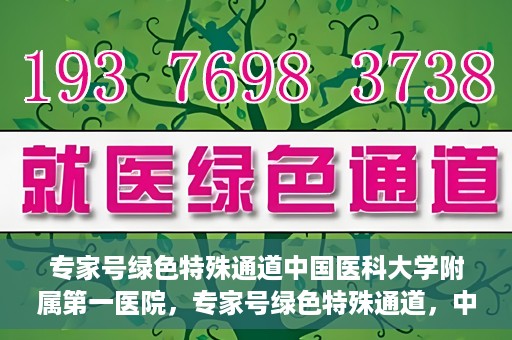 专家号绿色特殊通道中国医科大学附属第一医院，专家号绿色特殊通道，中国医科大学附属第一医院医疗服务的创新实践