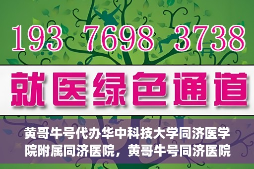 黄哥牛号代办华中科技大学同济医学院附属同济医院，黄哥牛号同济医院代办服务，专业助力就医无忧！
