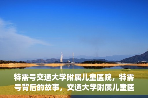 特需号交通大学附属儿童医院，特需号背后的故事，交通大学附属儿童医院的守护与成长之路