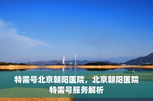 特需号北京朝阳医院，北京朝阳医院特需号服务解析