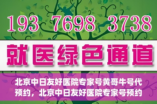 北京中日友好医院专家号黄哥牛号代预约，北京中日友好医院专家号预约服务解析，黄哥牛号代预约详解