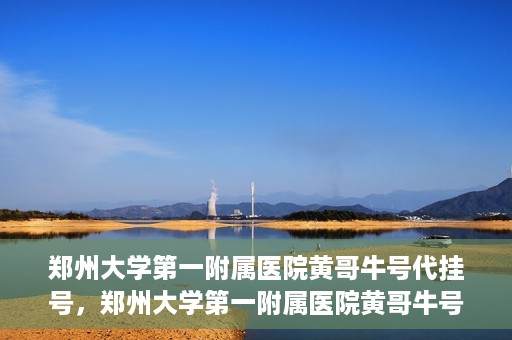 郑州大学第一附属医院黄哥牛号代挂号，郑州大学第一附属医院黄哥牛号代挂号攻略揭秘