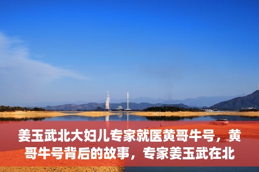 姜玉武北大妇儿专家就医黄哥牛号，黄哥牛号背后的故事，专家姜玉武在北大妇儿的医疗实践