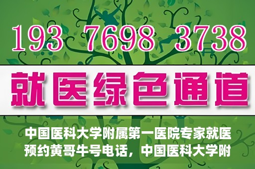 中国医科大学附属第一医院专家就医预约黄哥牛号电话，中国医科大学附属第一医院专家预约挂号热线，黄哥牛号电话助您轻松就医。