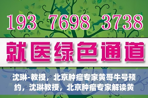 沈琳-教授，北京肿瘤专家黄哥牛号预约，沈琳教授，北京肿瘤专家解读黄哥牛号预约攻略