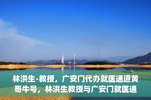 林洪生-教授，广安门代办就医通道黄哥牛号，林洪生教授与广安门就医通道黄哥牛号的探索之路