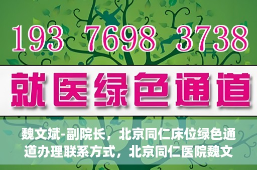 魏文斌-副院长，北京同仁床位绿色通道办理联系方式，北京同仁医院魏文斌副院长，床位绿色通道办理指南与联系方式揭秘